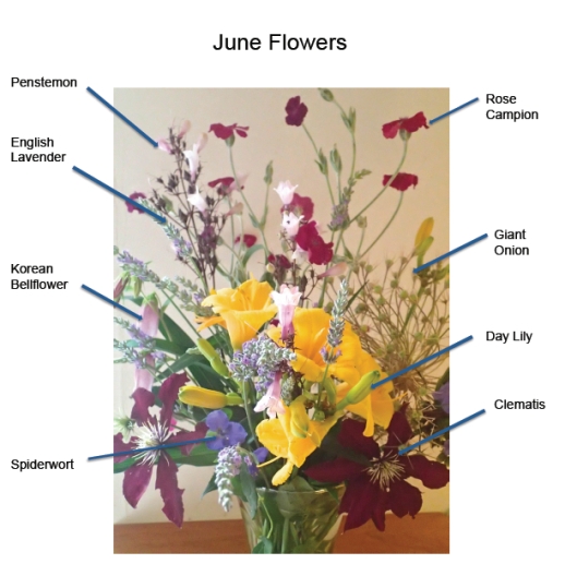June Flowers Diagram